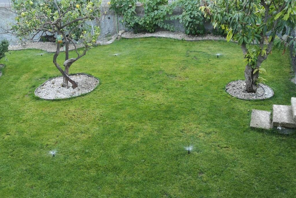 Souterrain Fuer Max 2 P., Bad, Aussenkueche, Garten Guimar Ngoại thất bức ảnh